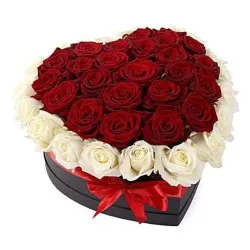 Valentine's Day Gifts